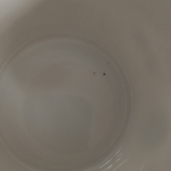 🆕Pier 1 Imports Signature Letter "F" Initial Coffee Mug - Picture 9 of 9